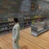FiveM Pet Shop MLO - Image 3