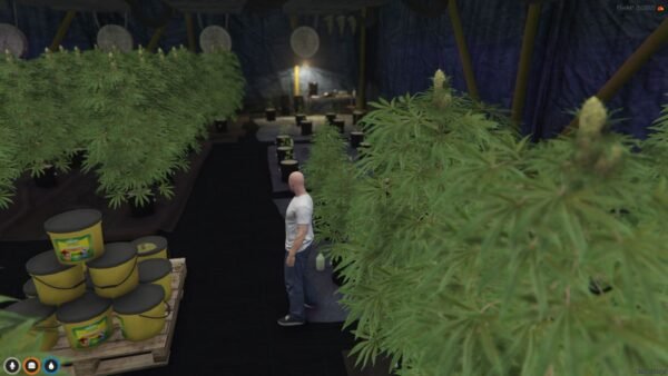 Weed Storage MLO - Image 2