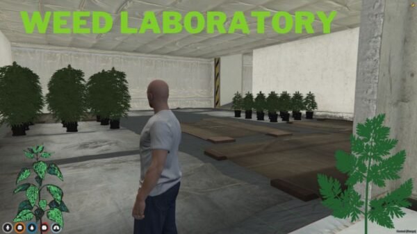 FiveM WeedLab MLO